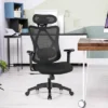 Costway Ergonomic High Back Mesh Office Chair W/ Adjustable Lumbar Support -HOMCOM Store GUEST 09c06497 3999 4d8e b938 e54f5415377e