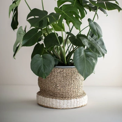 White Rope & Seagrass Basket - Foreside Home & Garden 5 White Rope & Seagrass Basket - Foreside Home & Garden - Image 3