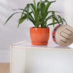 Guidecraft EdQ 2-Shelf Open Storage - 24" -HOMCOM Store GUEST 862cca7d d1d0 4c13 9160 88377d7da020