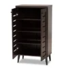 Salma Wood 2 Door Shoe Storage Cabinet Dark Brown - Baxton Studio